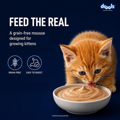 Drools Kitten Wet Mousse 80g | Ocean Fish | High Protein | Promotes Hydration & Easy Digestion | Grain Free | No Artificial Additives | Enriched with Vitamins & Antioxidants