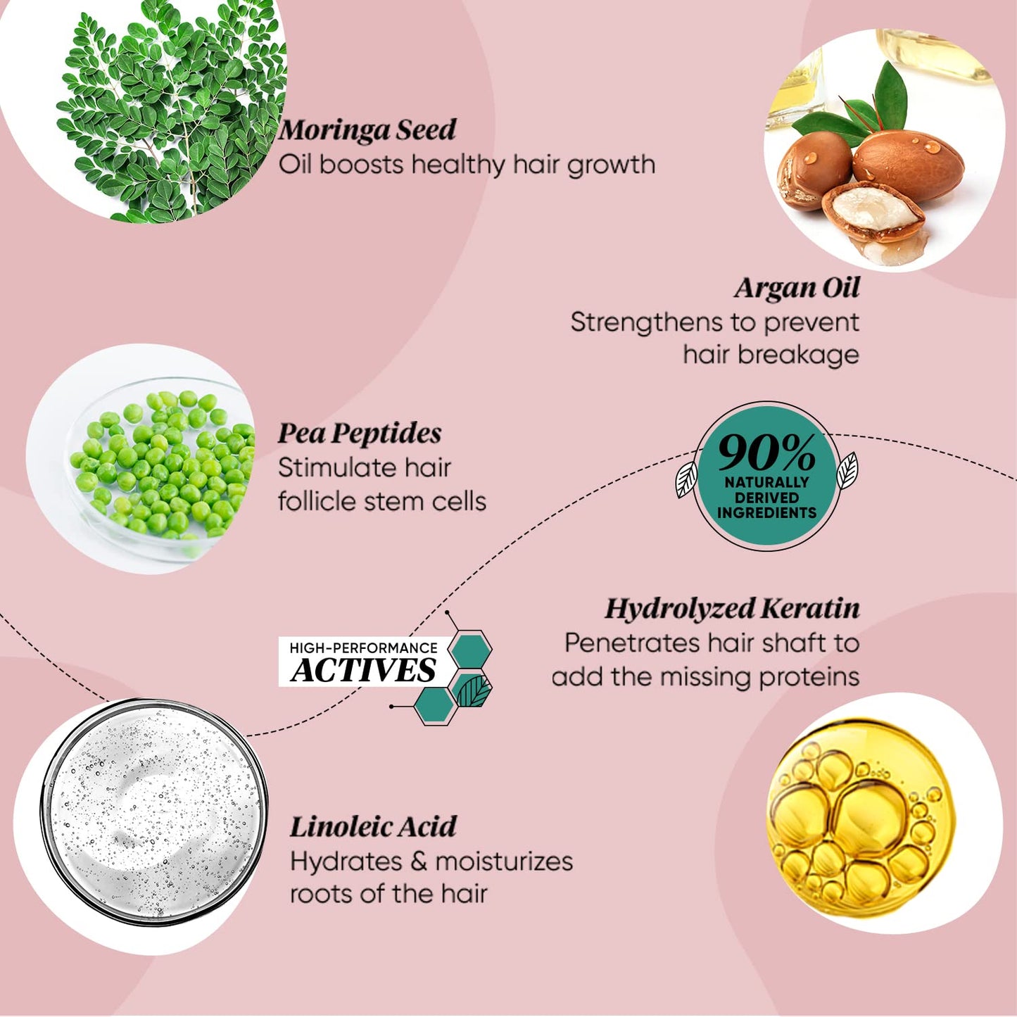 Zephivo Dot & Key Moringa & Argan Hair Fall Control Shampoo With Pea Peptide & Cysteine | Sulphate Free, Paraben Free | For Dull & Thinning Hair | 200ml
