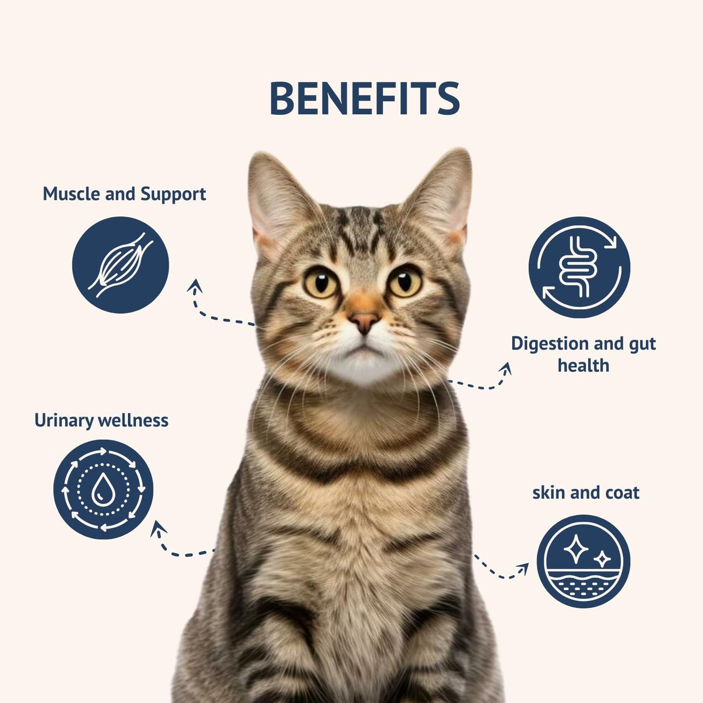 Goofy Tails Mackerel and Chicken Wet Cat Food and Kitten Food, 210g (70g X 3 Pouches), Preservative Free, Gluten & Grain Free, Balanced Cat Wet Food, Powered by Taurine with Omega 3 & Antioxidants