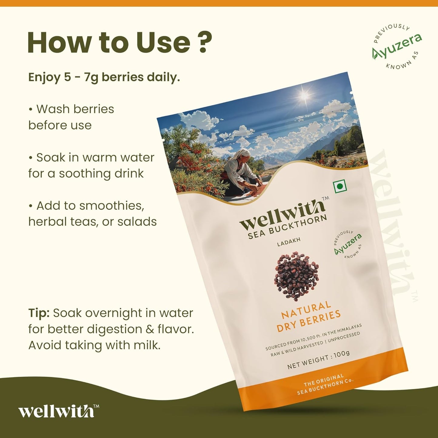 Wellwith by Ayuzera Sea buckthorn Dry Berry 100g – Natural, Sun-Dried, Rich in Omega 3,6,7 and 9, & Vitamin C, E | Dried Seabuckthorn Berries | No Added Sugar or Preservatives