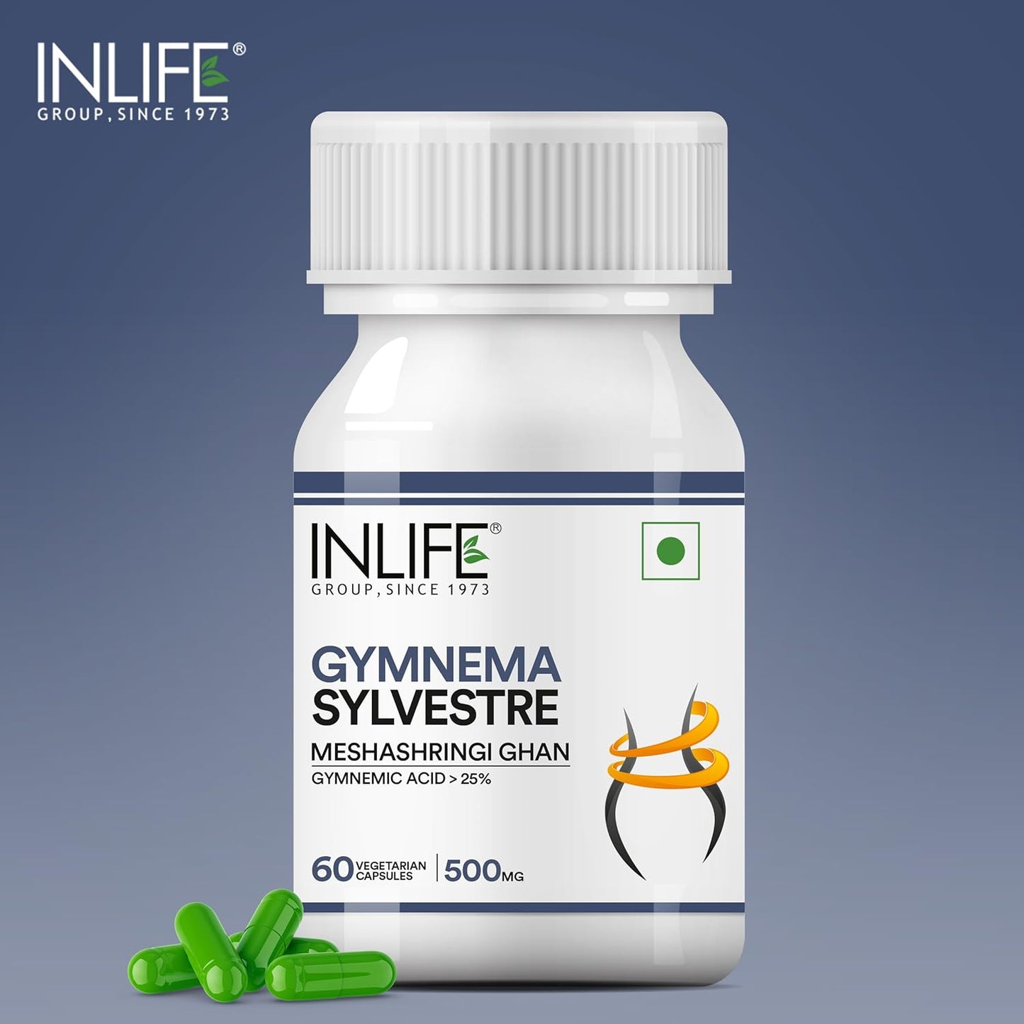 INLIFE Gymnema Sylvestre Capsules 500mg | Ayurvedic Herbal Supplement for Blood Sugar Wellbeing - 60 Vegetarian Capsules (Pack of 1, 60)