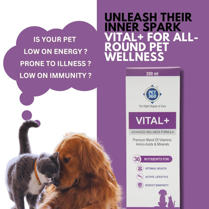 PET360 Vital+ Advanced Wellness Formula | Daily Multivitamin Syrup | Healthy Skin, Joints, Immunity & Growth | Nutritional Supplement for Dogs & Cats- 200 ml
