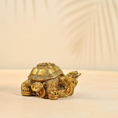 Vastu Item | Feng Shui Golden Turtle with Coins | Good Luck Symbol for Wealth, Health & Stability | Ideal for Home, Office, Pooja Room & Mothers Day Gifting