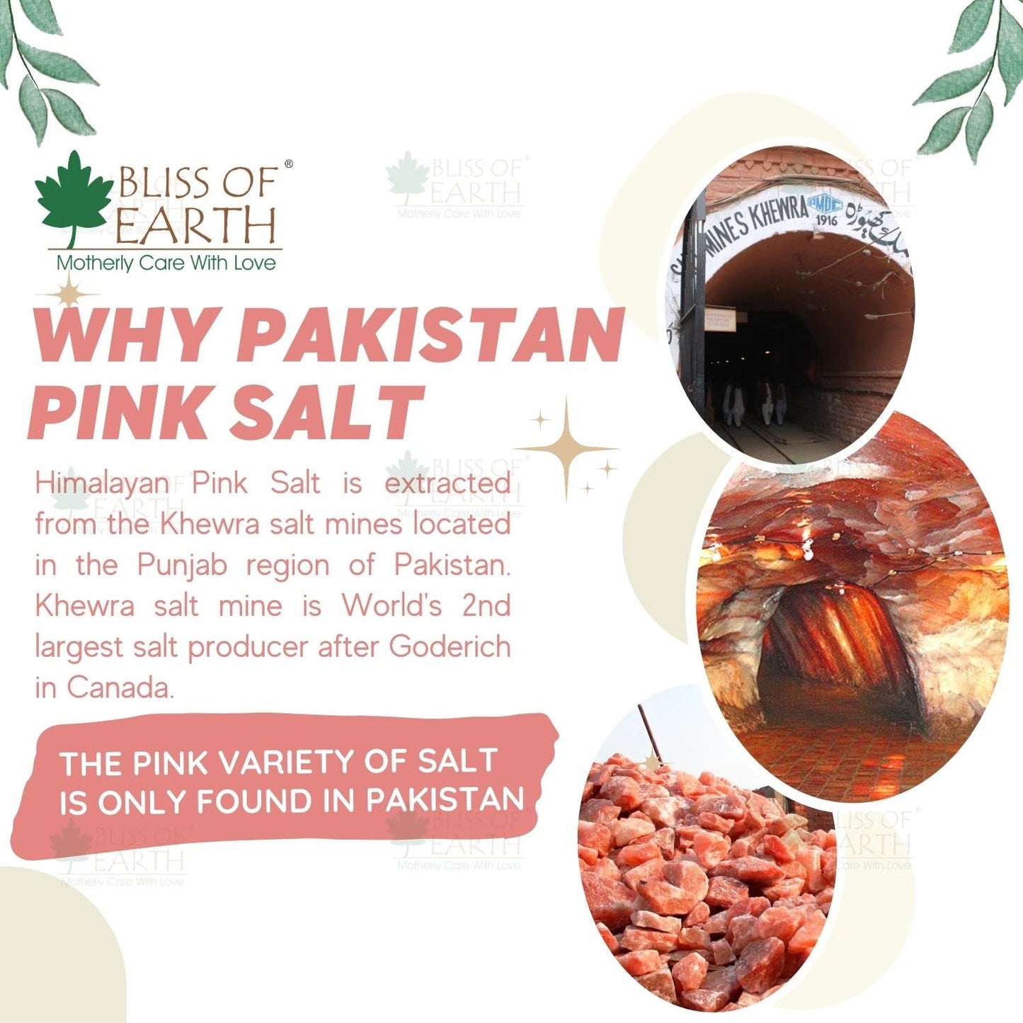 Bliss of Earth 1KG Fine Powder Pakistani Himalayan Pink Salt Non Iodised for weight loss & Healthy Cooking, Natural Substitute of White Salt