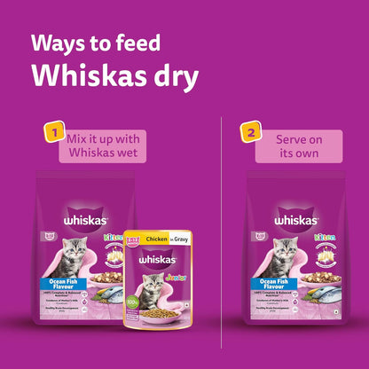 Whiskas Junior Mother Cat & Kitten (2-12 Months) Dry Cat Food, Ocean Fish Flavour, 1.1 kg, Contains 41 Essential Nutrients, Complete & Balanced Nutrition for Mother Cats & Kittens