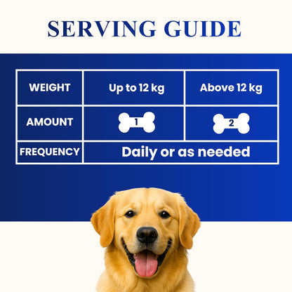Petroyale Dog Pre+ Probiotic & Prebiotic Chews – Probiotics for Dogs – Dog Gut Health Supplement – Relieves Diarrhea, Improves Digestion & Immunity (90 Soft Chew)
