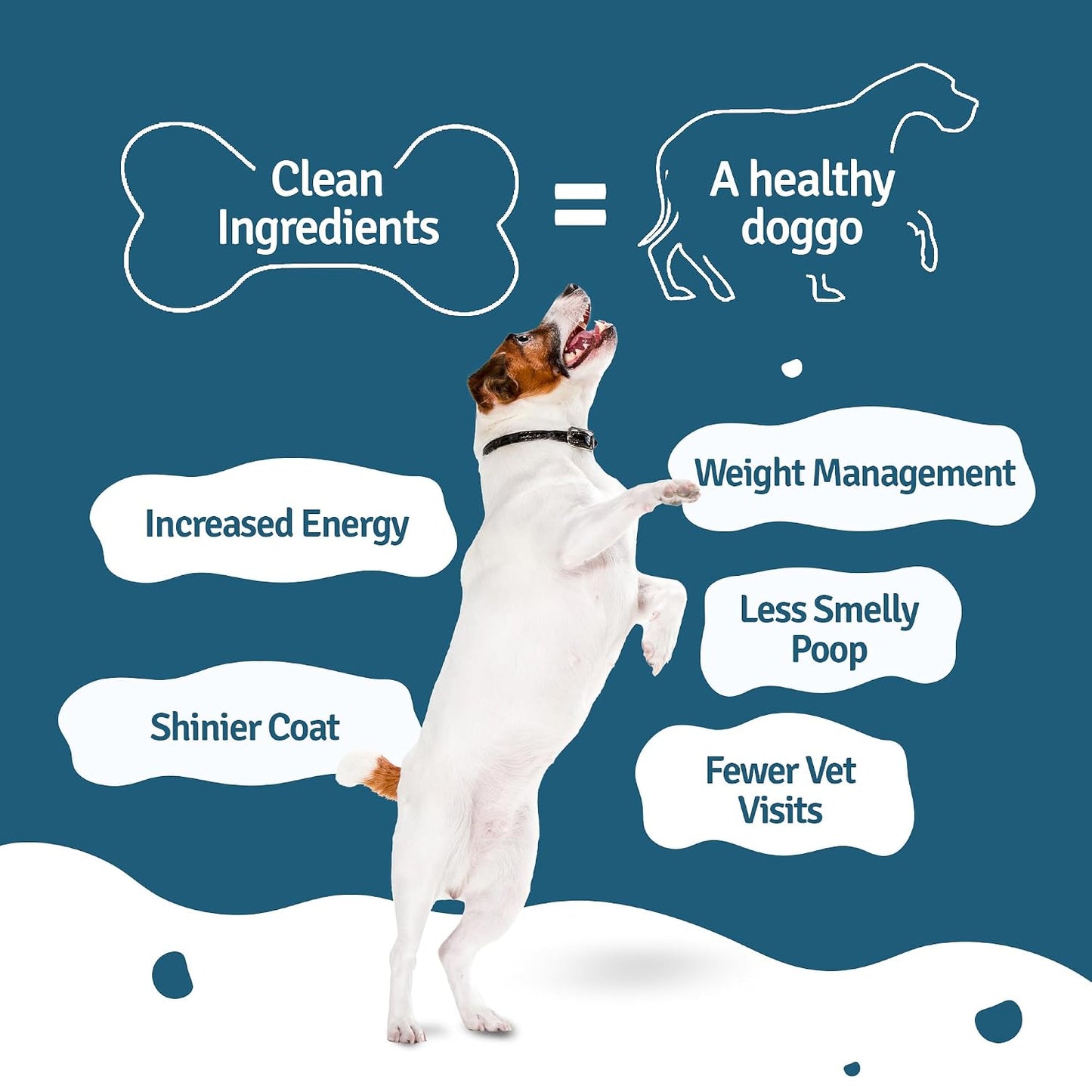 BLEP Healthy Dog Food for Adult & Puppies | Chicken Rice | Zero Preservatives | Wet Dog Food | Travel Packs | Complete Meal & Balanced | 300g | Pack of 1