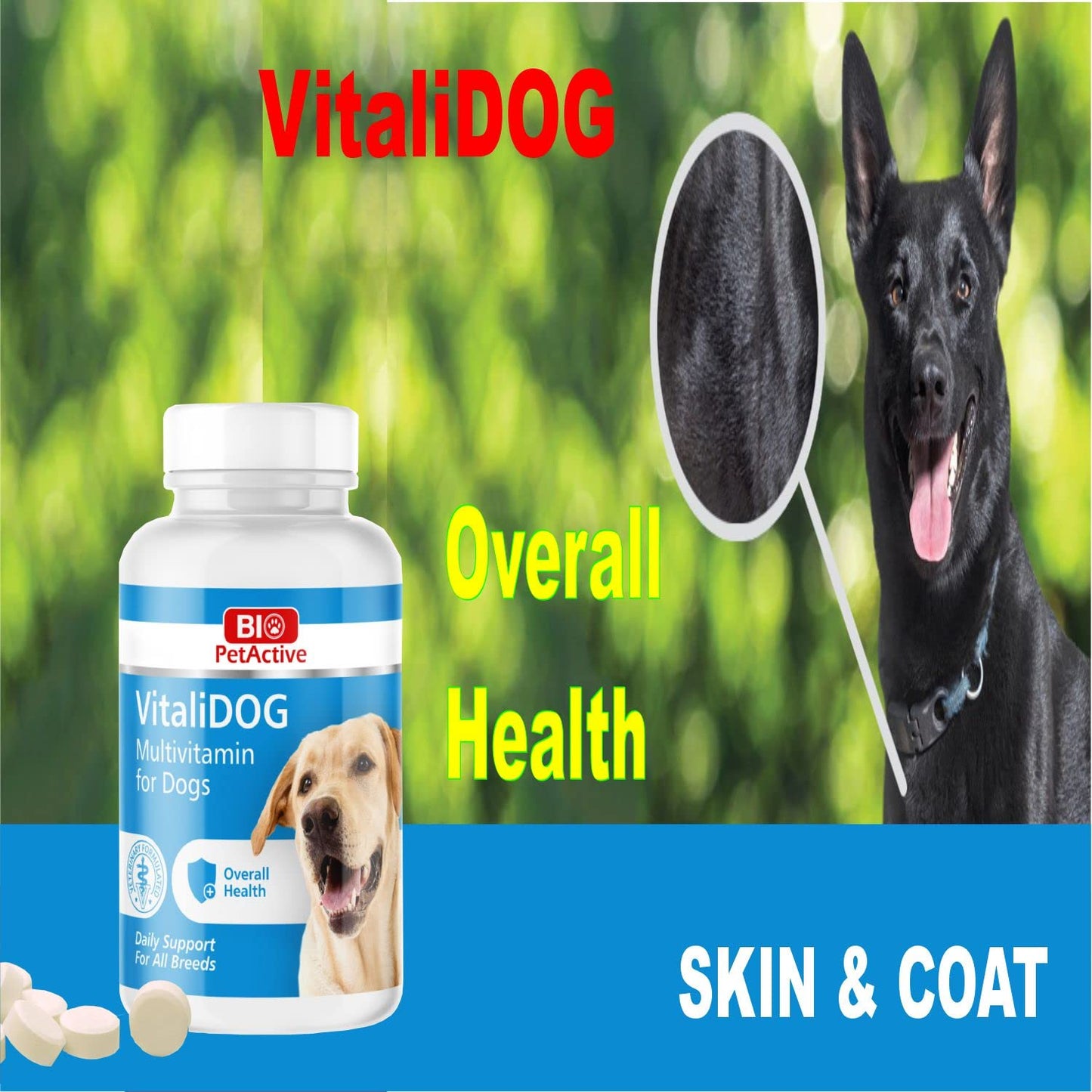 Bio PetActive VitaliDog Multivitamin for Dogs Helps in Immune System & Digestive System,Brain and Overall Body Health(75 Tablets)