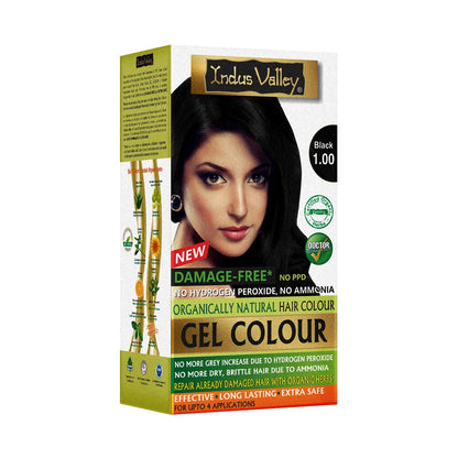 INDUS VALLEY Damage Free Natural Gel Hair Colour for Women | Ammonia & PPD Free Organic Hair Colour with 100% Grey Coverage, Long Lasting Conditioning Hair Color | Black 1.00-220 ml