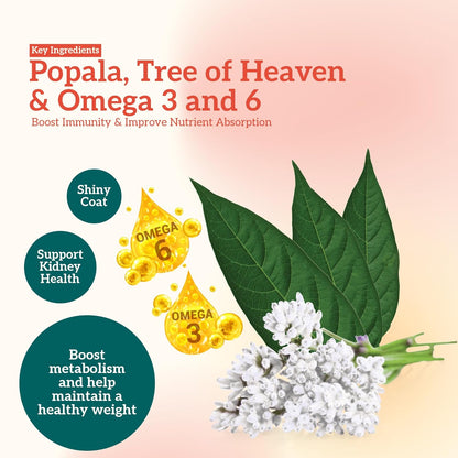 Himalaya Healthy PET Food for Adult Dogs | Chicken & Pumpkin | 1.2kg | Complete & Balanced Nutrition with Mountain Knot Grass, Tree of Heaven, Guduchi & Pumpkin