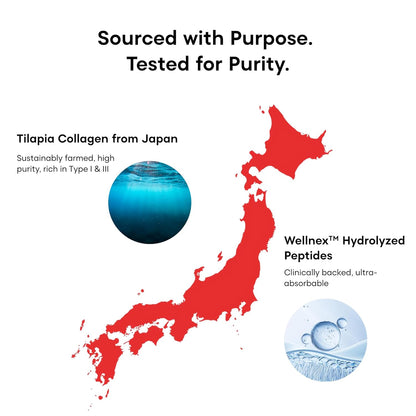 Map of Japan with blue and red elements, featuring text about tilapia collagen and Wellnex hydrolyzed peptides.