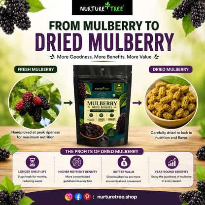 Nurture Tree Dried Mulberries | 100% Natural & Unsulfured Mulberry Berries | No Added Sugar | Nutrient-Rich Ancient Superberry | Healthy Snacks