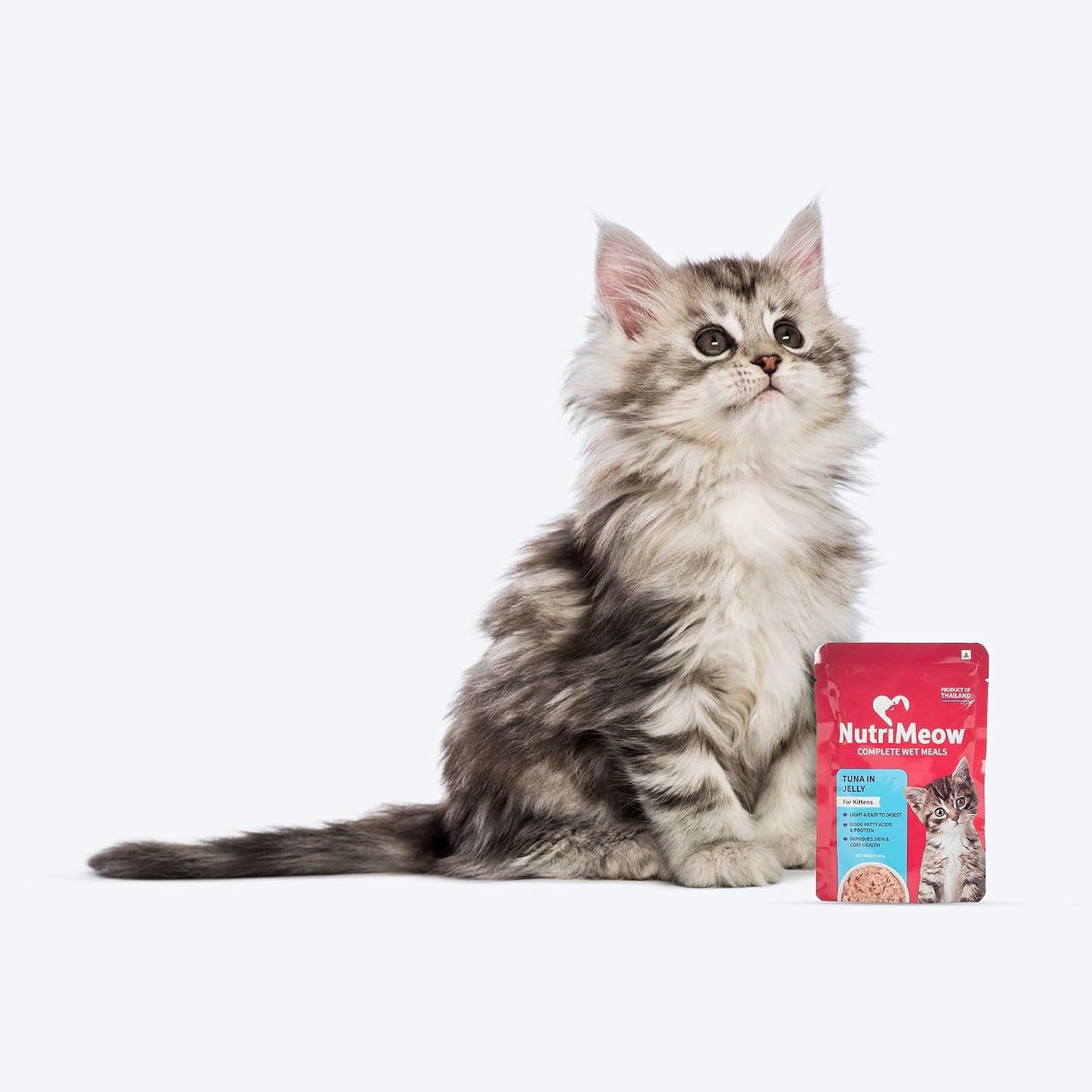 NutriMeow Tuna in Jelly Kitten Wet Food - 80gm | High Protein, Nutritious & Tasty Cat Pouch | Complete Balanced Food | Supports Growth & Development for All Kitten Breeds