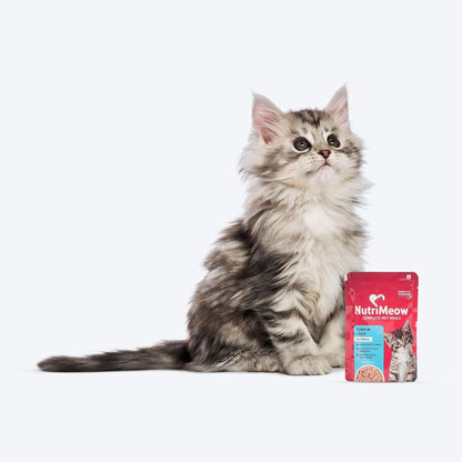 NutriMeow Tuna in Jelly Kitten Wet Food - 80gm | High Protein, Nutritious & Tasty Cat Pouch | Complete Balanced Food | Supports Growth & Development for All Kitten Breeds
