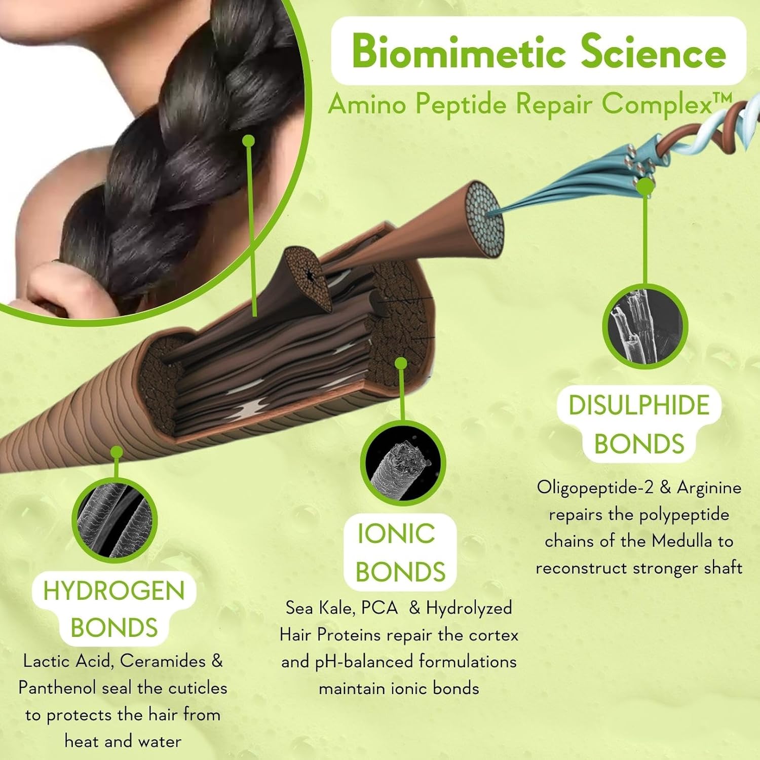 Hair care product advertisement with scientific diagram of hair structure and repair process.