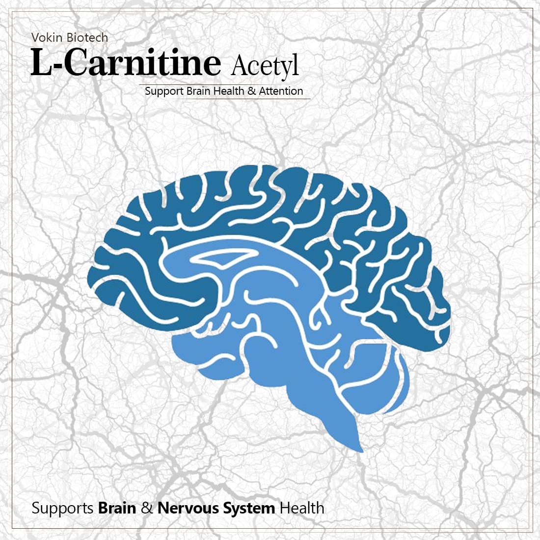 Advertisement for Vokin Biotech L-Carnitine Acetyl with a blue brain illustration on a light gray background.