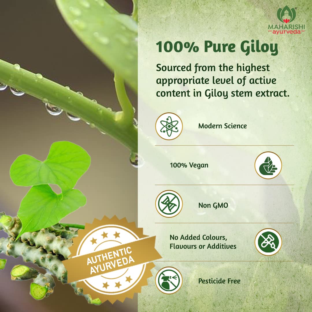Zephibo Maharishi Ayurveda Giloy Ghan Vati - 100% Natural Immunity Boosting Tablets | Enhances Strength & Stamina | Fights Fatigue | Detoxifies The Body, 60 Tablets
