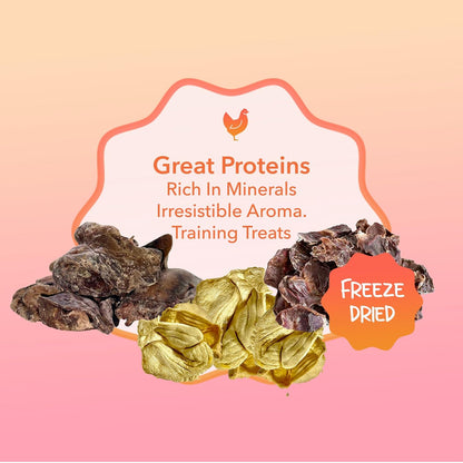 Rawr4dogs Zoomy Treats | Party Mix | Various Organ Treats | No Preservative | Training Treats for Dogs | 45GMS, All Life Stages