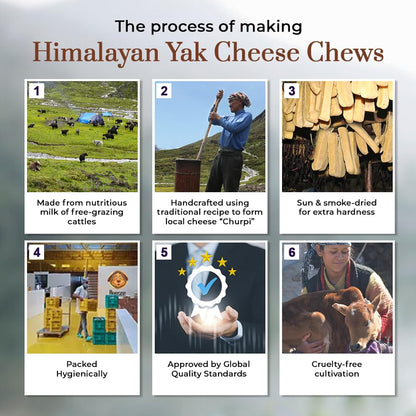 Dogsee Chew Bars, 100% Natural Himalayan Cheese Based Dental Chews for Dogs (Large Bars Pack of 1)