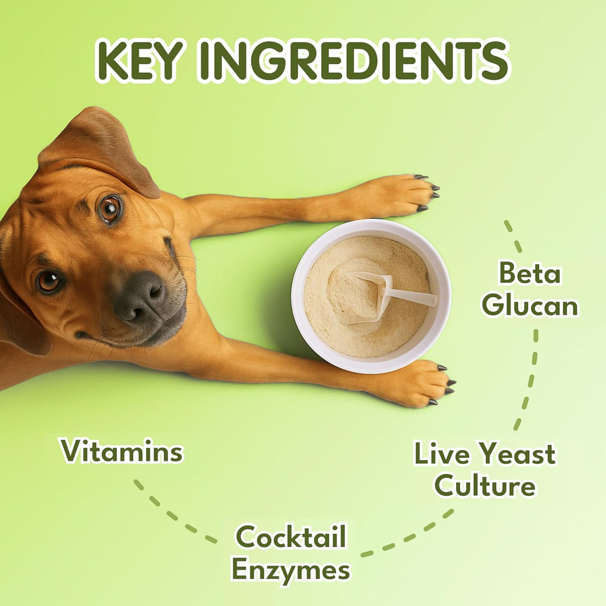 Petroyale Oral Probiotics for Dogs -9B+ CFU Dog Dental Powder for Plaque & Tartar Removal - Fresh Breath, Gum Health & Oral Care Support - Dental Powder for Dogs | 100g