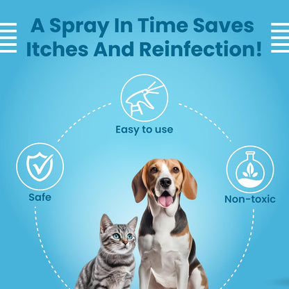 Bark Out Loud Antimicrobial Skin Spray for Pets | for Itching & Wounds | Sodium Hypochloride, Neem & Turmeric Extract | Safe Skin Care Spray for Dogs & Cats, Puppies & Kittens - (100 ml)