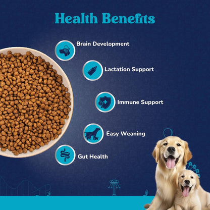 Carniwel Fresh Chicken Starter Dry Dog Food 1kg | Natural Ingredients for Easy Weaning | GMO-Free | Highly Palatable | Immune & Lactation Support | Premium, Tailored Nutrition for Large Dog