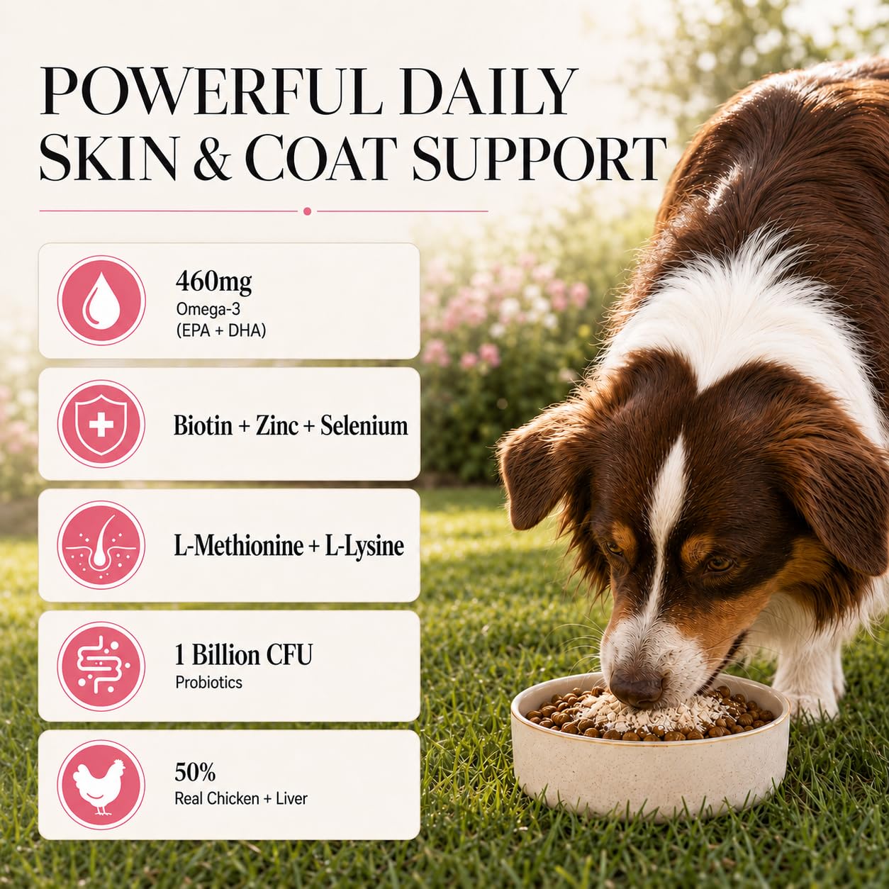 Whisker and Wilde Dog Skin and Coat Supplement | 460mg Omega-3 for Dogs | Coat Shine, Reduced Shedding, Dry Skin | Biotin, L-Methionine, Selenium, Zinc | Skin Actives | 300g