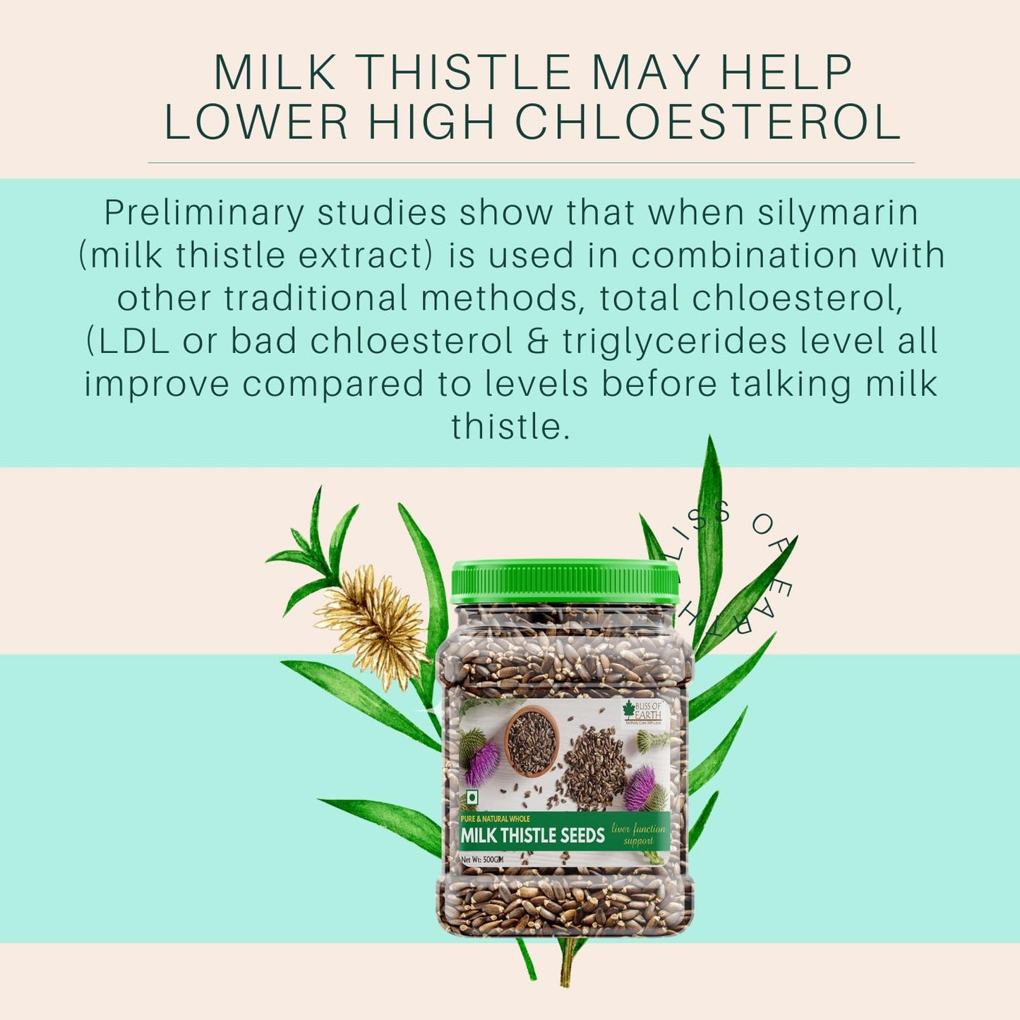 Bliss of Earth 500gm Milk Thistle Seeds Organic Super Food Great for Guts Health & Boost Immunity (Pack of 1)