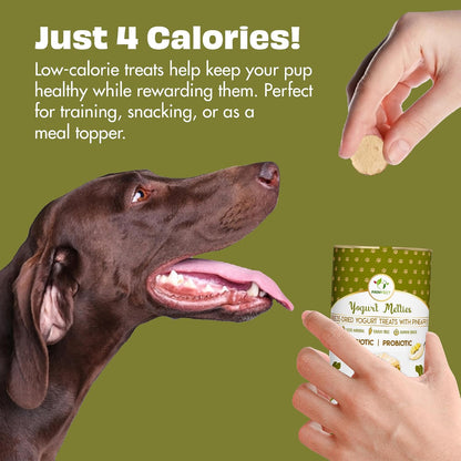 Pawfect Yogurt Melties Freeze Dried Pre and Probiotic Dog Treats with Pineapple, Coconut, Banana, Dandelion - Healthy Gut - Low Calories - Grain & Gluten Free - Reward or Training Treats (38g/1.34oz)