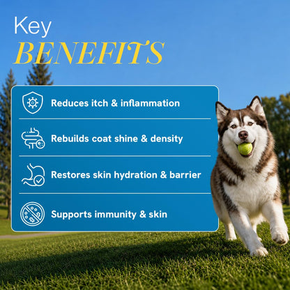Winni Skin & Coat Supplement for Dogs | Supports Healthy Skin, Coat Shine & Natural Immunity | Chicken Flavor | Suitable for Puppies, Adult & Senior Dogs | Natural Formula | 120g