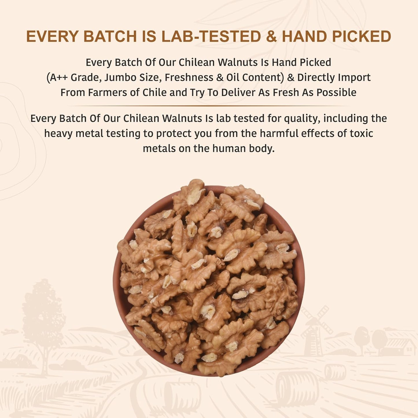 Nutty Organics Dried Walnut 250 Gm | Crunchy | Nutritious Tasty & Healthy Nuts Dry Fruits | Akhrot Giri | Rich in Protein