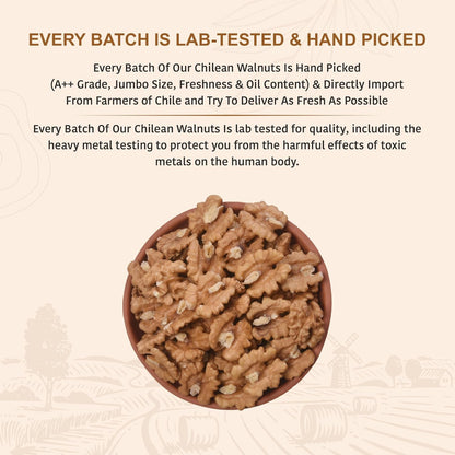 Nutty Organics Dried Walnut 250 Gm | Crunchy | Nutritious Tasty & Healthy Nuts Dry Fruits | Akhrot Giri | Rich in Protein