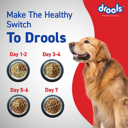 Drools Adult Dry Dog Food 10kg | Chicken Flavour | Optimum Protein & Energy Ratio | High-Grade Protein with Vitamins & Minerals | Easily Digestible for Optimum Performance