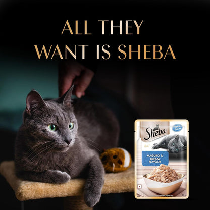 Sheba Rich Premium Adult (1+ Years) Wet Cat Food, Maguro & Bream Flavour, 35 g Pouch (Pack of 12), High-moisture wet food for healthy hydration