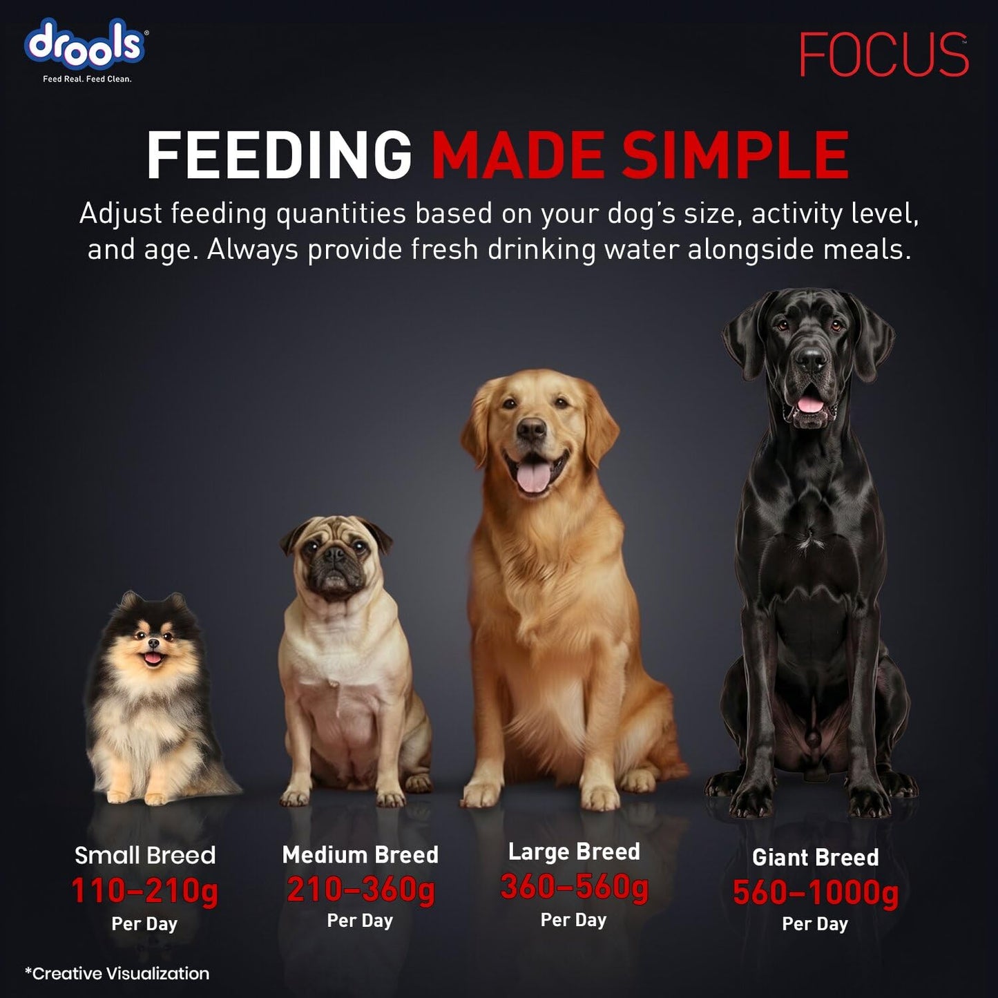 Drools Focus Premium Adult Dry Dog Food 1.2kg Pack | Chicken Flavour | Growth & Intelligence | Digestive Health | Healthy Skin & Coat | Improves Immunity