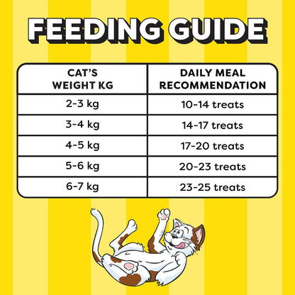Temptations MixUps Cat Treats, Chicken & Salmon Flavours, 75g – Two Irresistible Flavours in One Pack, Crunchy Outside Soft Inside, Goodness of Protein, Vitamins & Minerals, Resealable Pouch