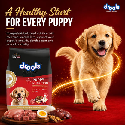 Drools Puppy Dry Dog Food 1kg | Meat and Milk Flavour | Supports Healthy Brain Development and Cognitive Function | Antioxidants | Chelated Minerals | Better Bioavailability of Minerals