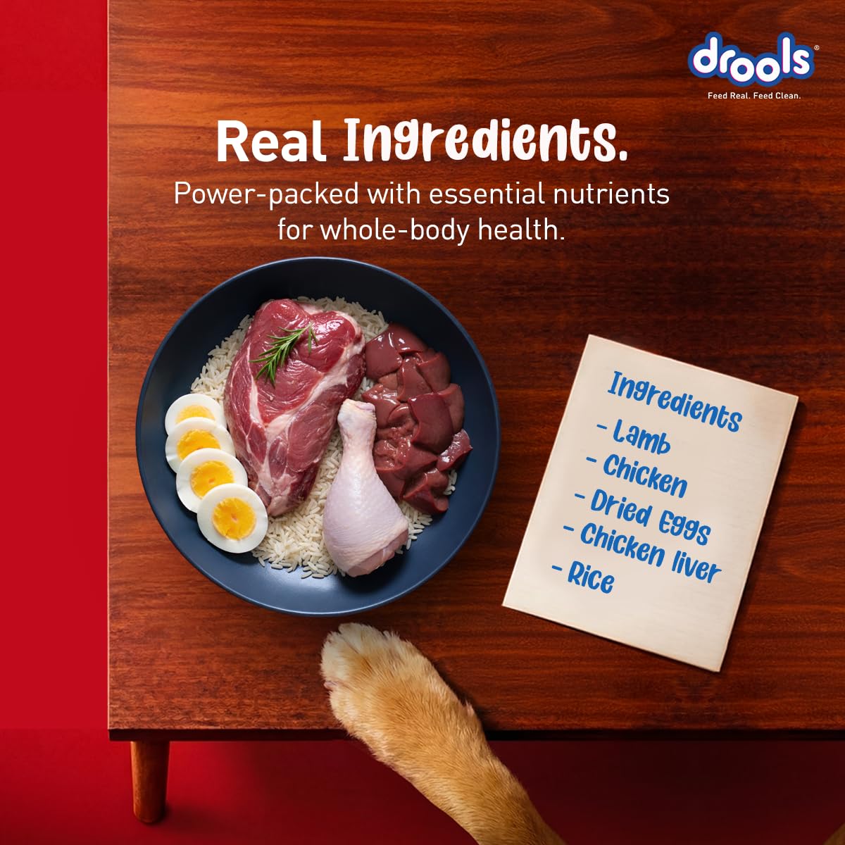 Drools Adult Dry Dog Food 1kg | Lamb and Rice Flavour | Supports Skin Nourishment and Coat Radiance | Promotes Healthy Digestion | Natural Antioxidants | Strengthen Immunity
