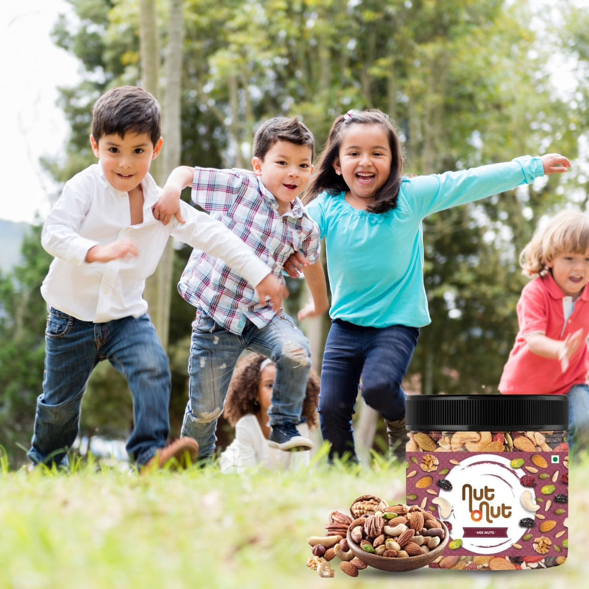 Nut O Nut Healthy Mix Dry Fruits (Almond,Cashew(W240),Walnut,Green And Black Raisin Cranberry,Sunflower Seeds,Pumpkin Seeds) Nuts (Jar Pack) 250G Power Of 9 Dry Fruits Protein Rich Snack Panchmeva