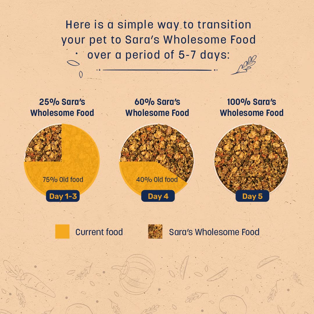 Sara's Wholesome by HUFT Classic Chicken & Brown Rice Dog Food – 300 gm | Wet Gravy Meal for All Breeds & Life Stages | No Artificial Flavours, No Added Colours, Preservative-Free
