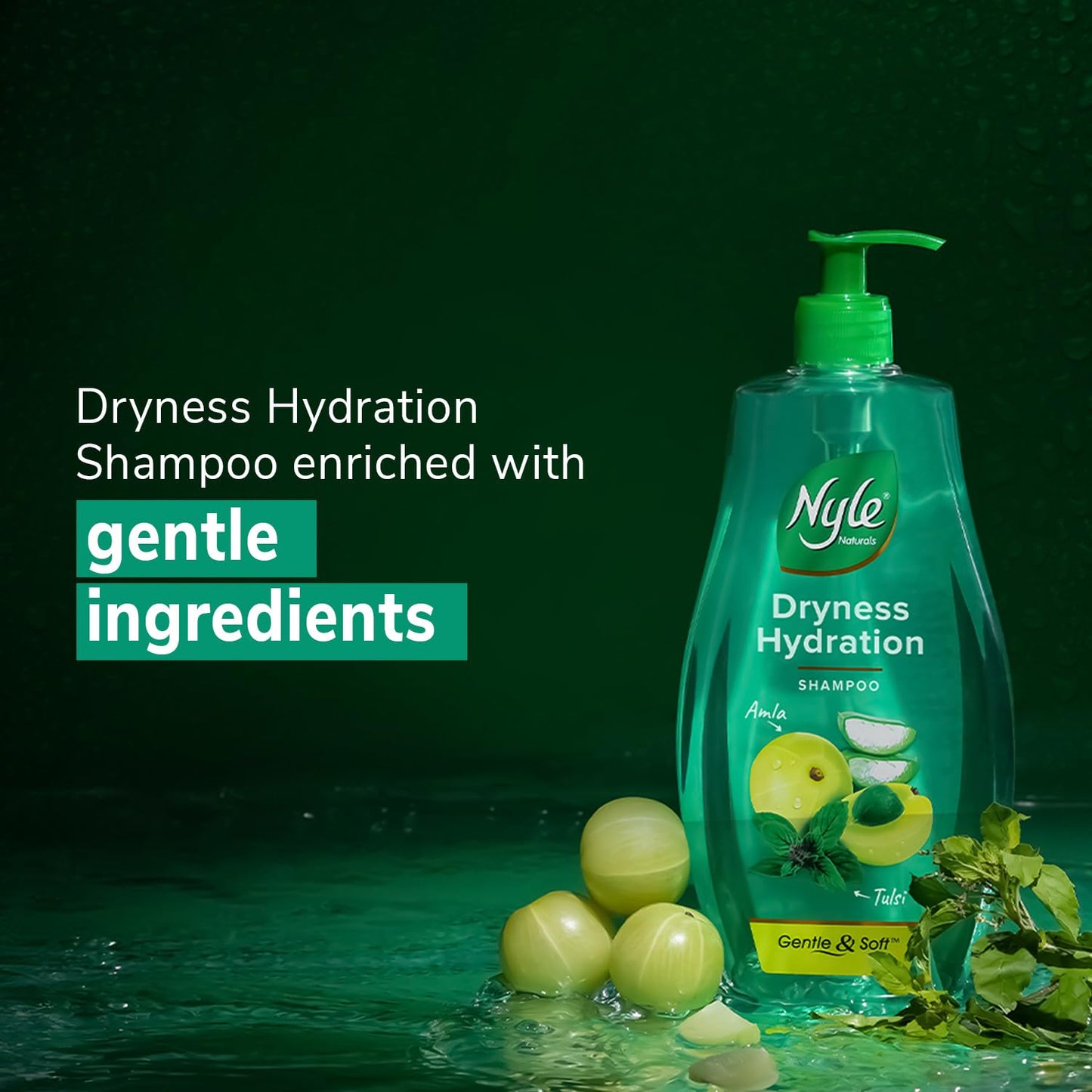 Nyle Naturals Dryness Hydration Shampoo, with Tulsi, Amla and Aloe Vera, Gentle & Soft Shampoo, pH Balanced and Paraben Free, For Men and Women,400ml