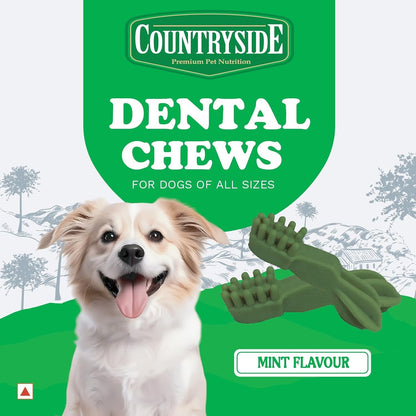 COUNTRYSIDE Dog Dental Chews Treats 250g – Mint Flavor | Brush-Shaped Chews for Dogs, Oral & Gum Care for Dogs | Fights Plaque & Tartar | Freshens Breath | Calcium Enriched & Gluten Free
