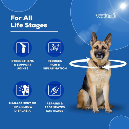 Venttura Petraceuticals Flexi+ Chewable Tablets Hip & Joint Supplement for Dogs | Strengthen Joints | Repairs Cartilage | Joint Health Support | Improves Mobility | (45 Chewable Tablets)