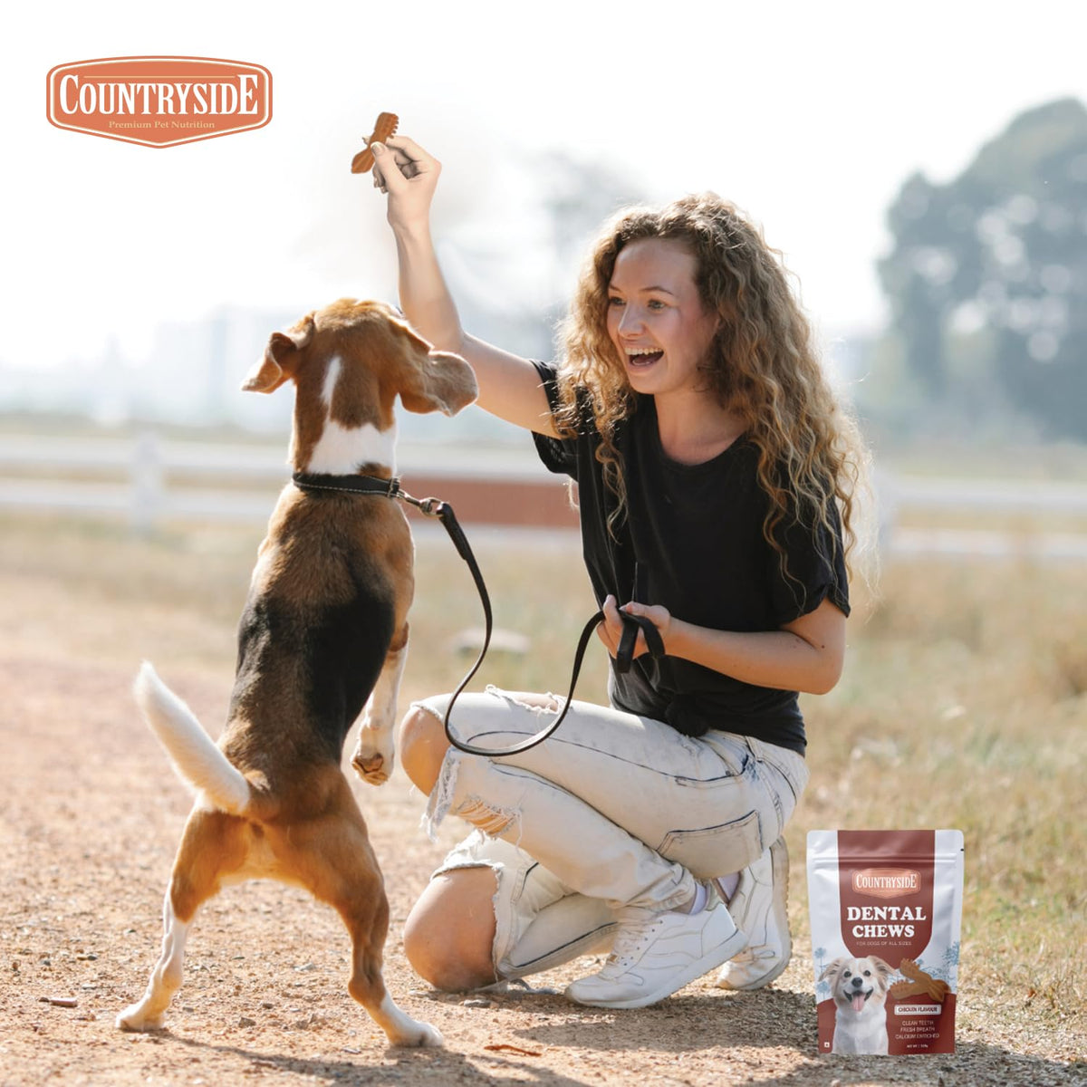COUNTRYSIDE Dog Dental Chews Treats 250g – Chicken Flavor | Brush-Shaped Chews for Dogs, Oral & Gum Care for Dogs | Fights Plaque & Tartar | Freshens Breath | Calcium Enriched & Gluten Free