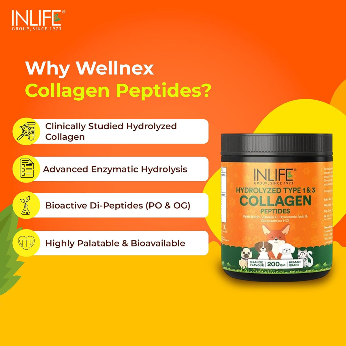 INLIFE Collagen Peptides Supplement Dogs Cats, Glucosamine 200g Orange | Joint Lubrication, Synovial Fluid, Immune Health, Antioxidant Activity, Human Grade, Palatable