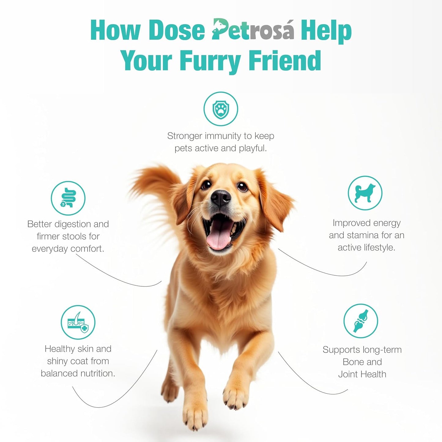 Petrosa Medium Breed Puppy Dog Food (2 to 12 Months), 1 Kg, 30% Protein with DHA & Prebiotics, Growth & Digestion Formula