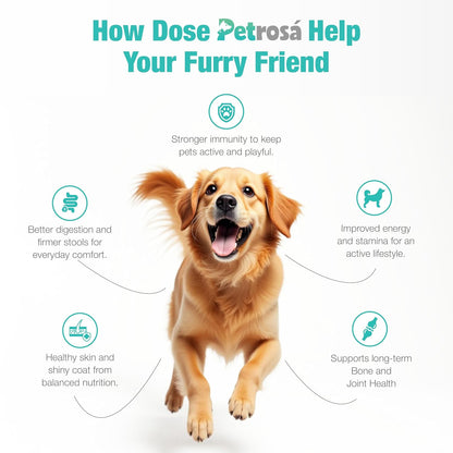 Petrosa Medium Breed Puppy Dog Food (2 to 12 Months), 1 Kg, 30% Protein with DHA & Prebiotics, Growth & Digestion Formula