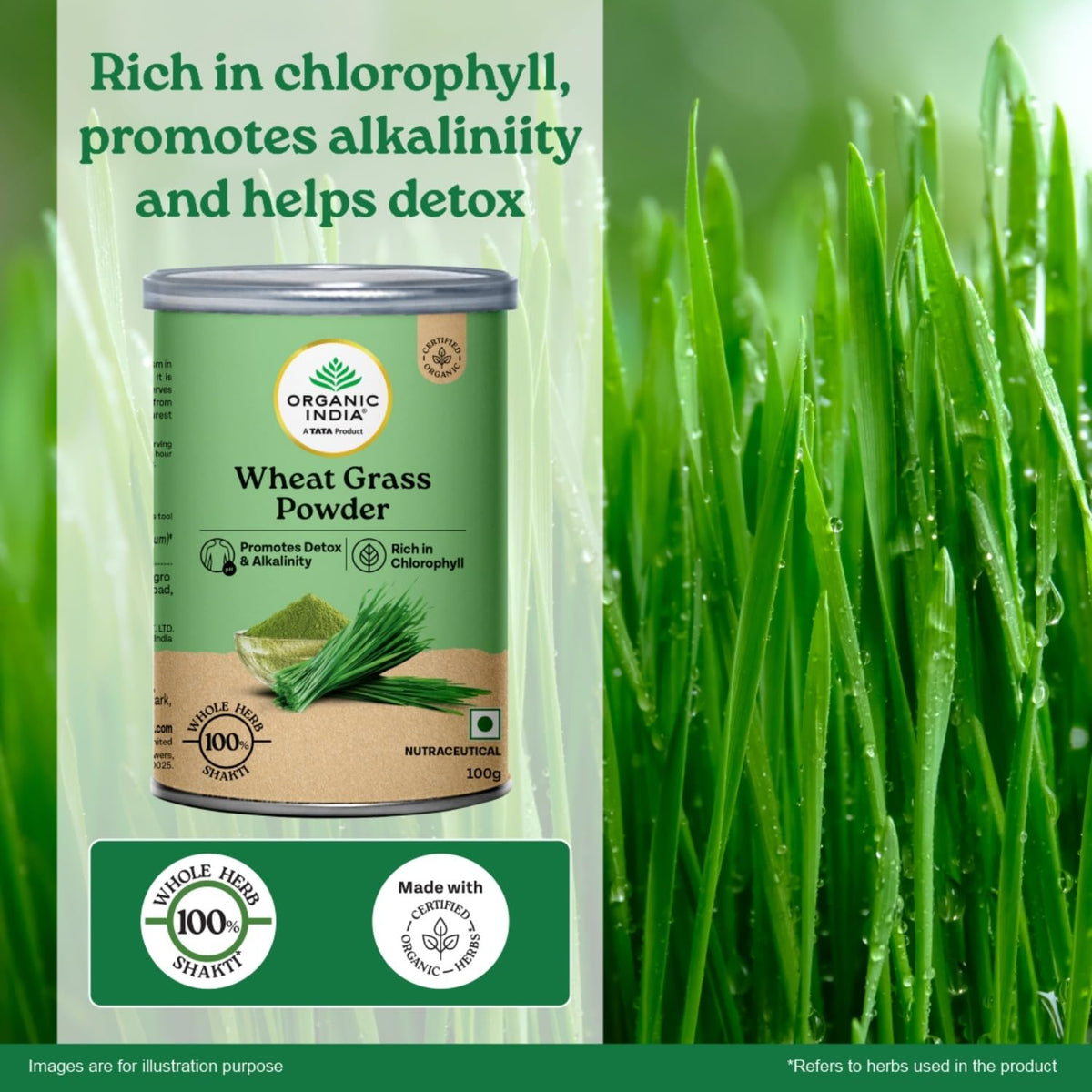 A TATA Product - Organic India Wheat Grass - 100g, Supports Immunity & Boosts Stamina, Rich in Natural Antioxidants, Vitamins & Minerals, For Detox, Overall Well-Being, GMP & NPOP Certified Organic