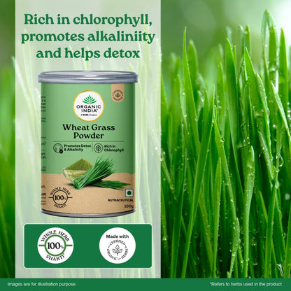 A TATA Product - Organic India Wheat Grass - 100g, Supports Immunity & Boosts Stamina, Rich in Natural Antioxidants, Vitamins & Minerals, For Detox, Overall Well-Being, GMP & NPOP Certified Organic