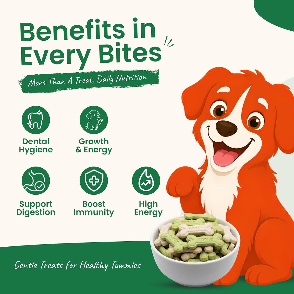 Nootie Veg Biscuits with Spinach Flavour for Adult Dogs - 900g | 100% Vegetarian, High-Fibre, Nutrient-Rich Treats (Pack of 1)